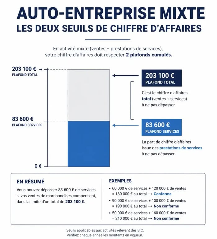 Infographie des seuils de chiffre d'affaires pour auto entrepreneur prestation de service et vente de marchandise